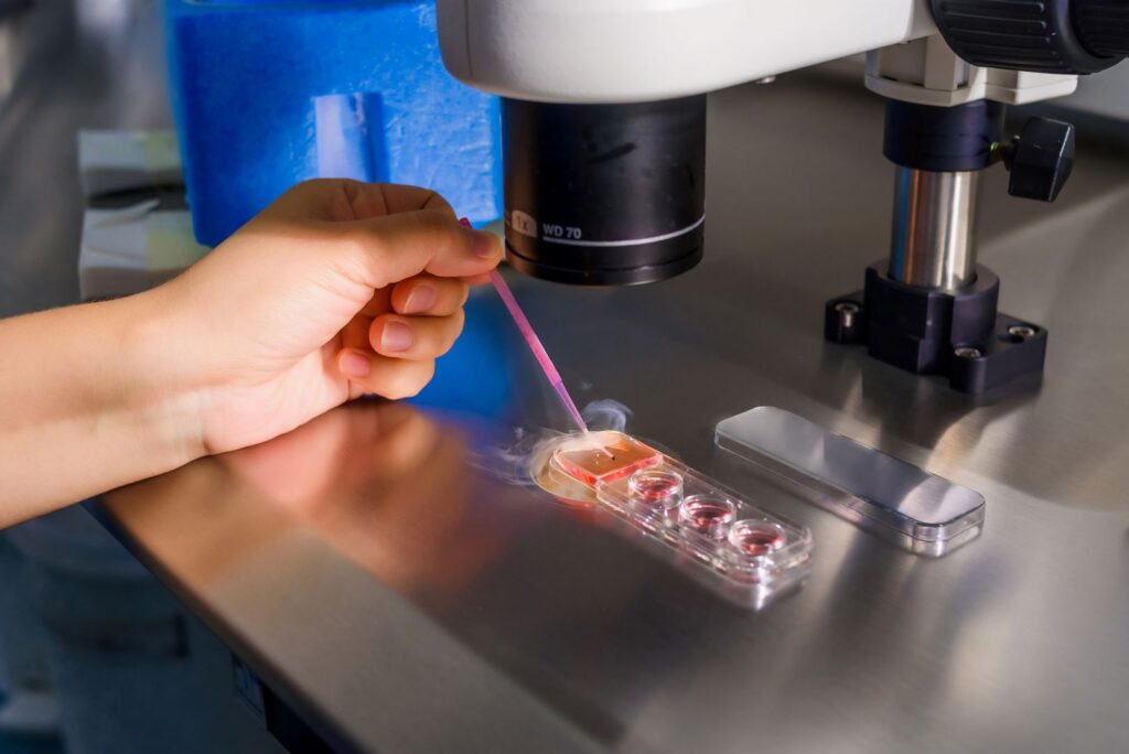 Are Embryos classified as property in Family Law proceedings?