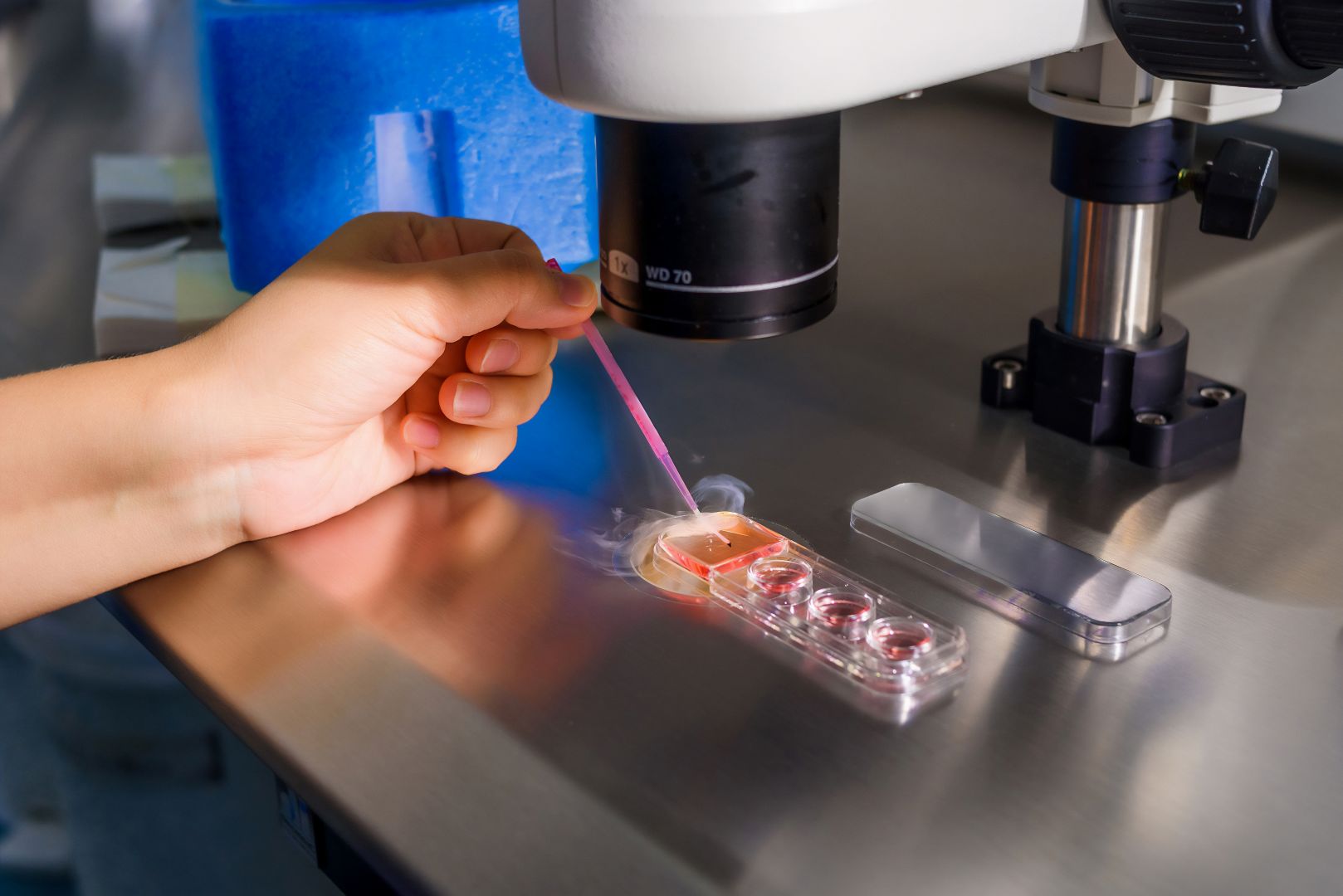 Are Embryos classified as property in Family Law proceedings?